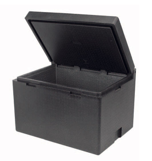 Contenedor Isotérmico CARGO-BOX