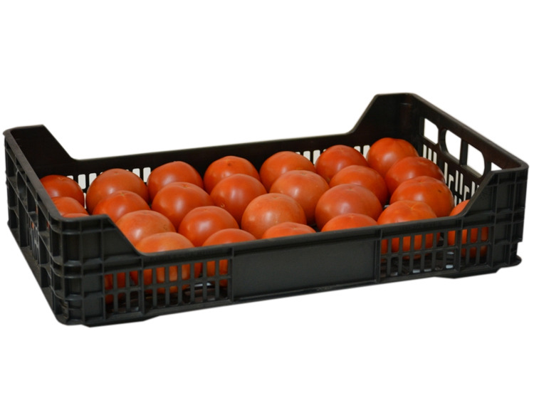 Caja Plastica Agricola 50x30x10.7 cm Mod.C1ML