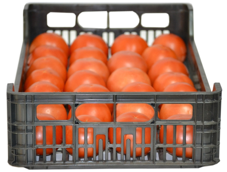Caja Plastica Agricola 50x30x10.7 cm Mod.C1ML