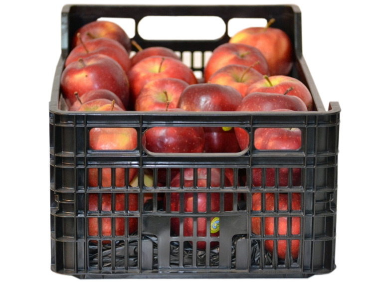Caja Plastica Agricola 50 x 30 x 17.5  Mod.C2ML-6