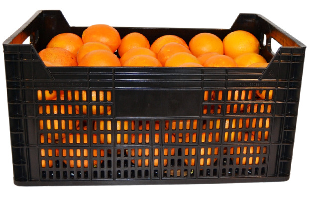 Caja Plastica Agricola 50x30x25 cm Mod.C3M