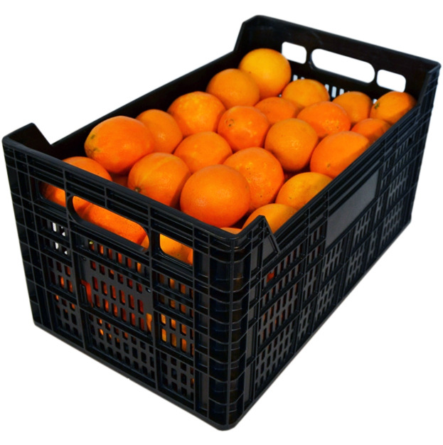 Caja Plastica Agricola 50x30x25 cm Mod.C3M