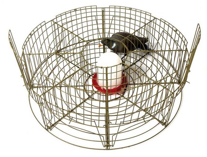 Jaula Captura de Palomas