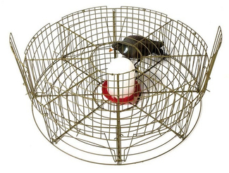 Jaula Captura de Palomas
