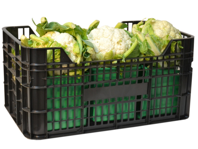 Caja de Plastico 60x40 Rejillada Ligera Modelo CV29
