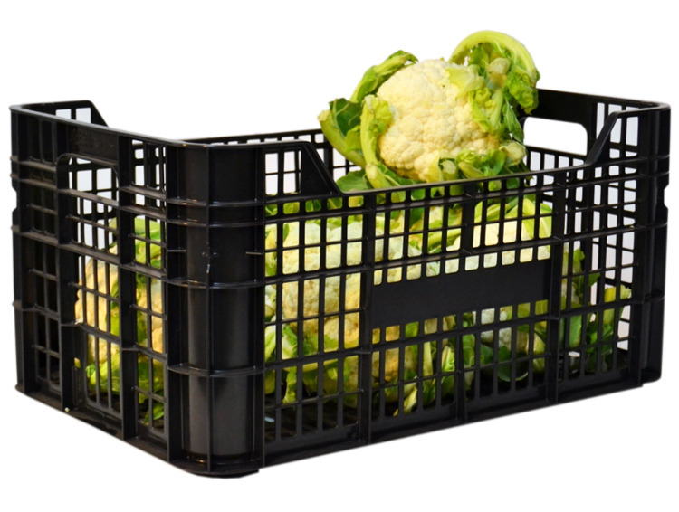 Caja de Plastico 60x40 Rejillada Ligera Modelo CV29