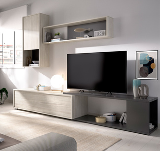 Conjunto Salón de Televisón Flexible Obi