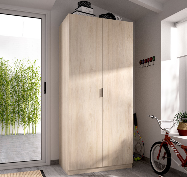 Armario Essen 2 Puertas 52 x 81 x 184 cm