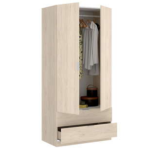 Armario Essen 2 Puertas y 2 Cajones 52 x 81 x 184 cm