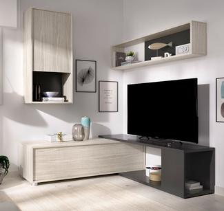 Conjunto Salón de Televisón Flexible Obi