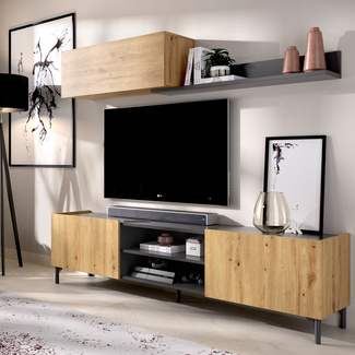 Conjunto Salón Televisión Tass 