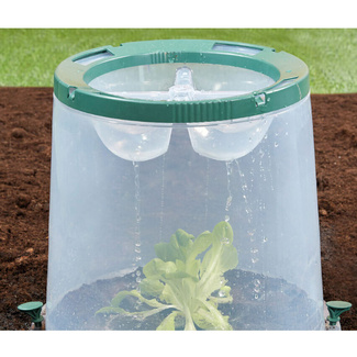 Campana de cultivo Sunny 