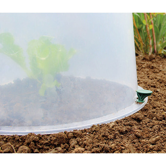 Campana de cultivo Sunny 