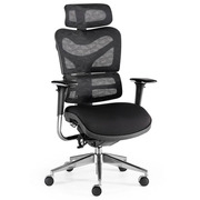 Sillón Direccional NEW ERGOSTONE