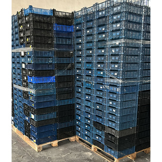 Lote de 5000 Cajas Usadas Agrícolas