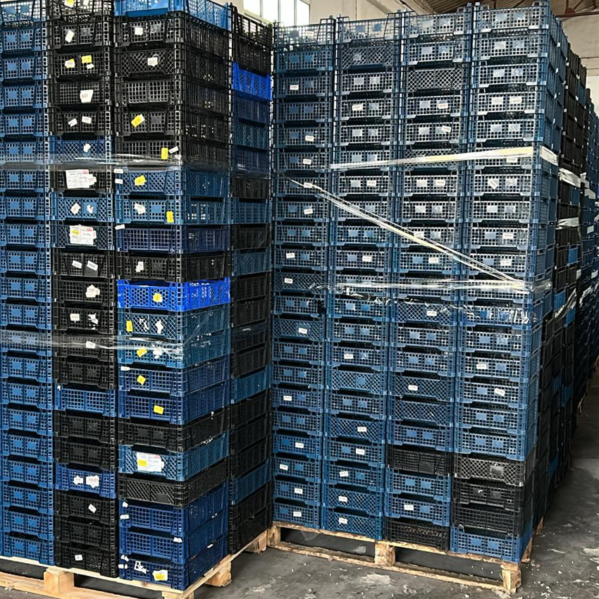 Lote de 5000 Cajas Usadas Agrícolas