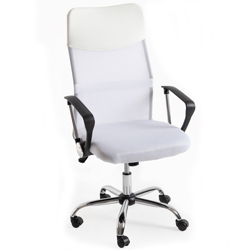 Sillón de Dirección Reclinable Canvas 57 x 57 x 107 cm