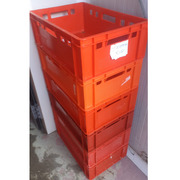 Lote de cajas plásticas cárnica E2 usadas 40 x 60 x 20 cm 