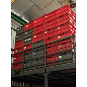 Lote de 235 Cajas Plásticas Usadas Apilables 60 x 80 x 42 cm