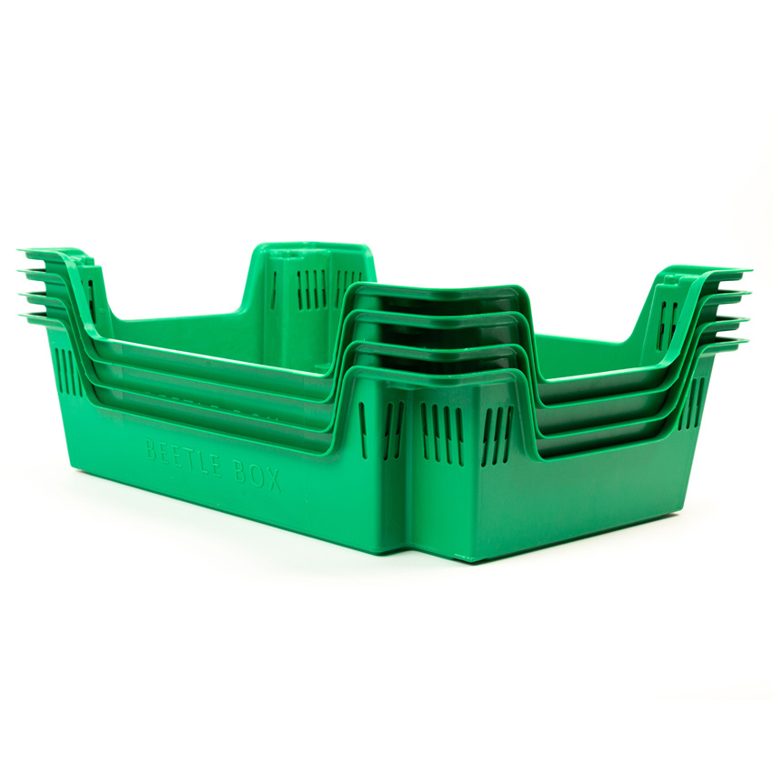 Caja Encajable Beetle Box para Cría de Insectos 40 x 60 x 15 cm  