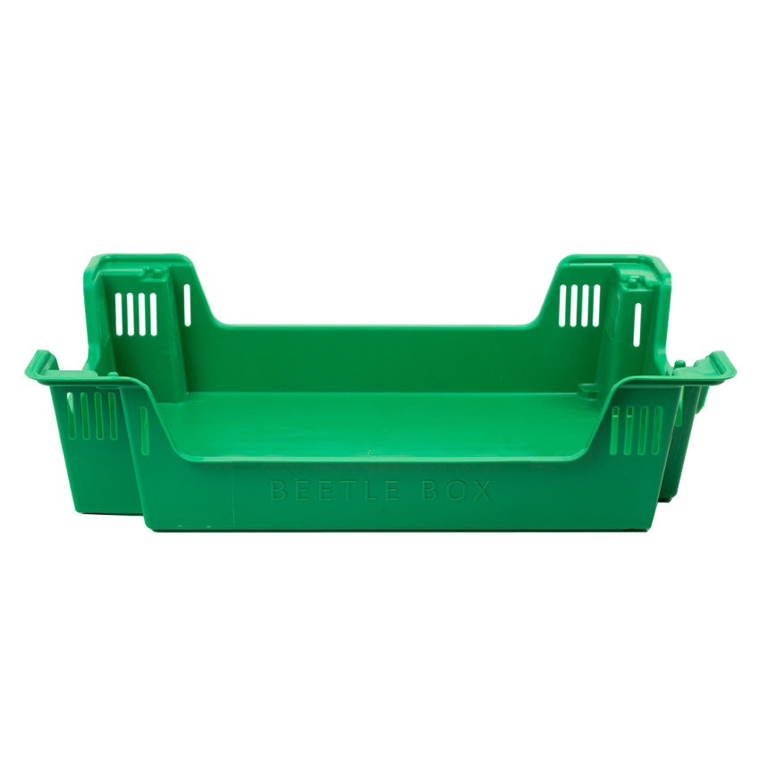 Caja Encajable Beetle Box para Cría de Insectos 40 x 60 x 15 cm  