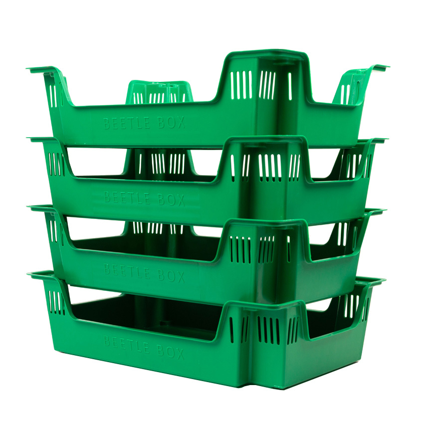 Caja Encajable Beetle Box para Cría de Insectos 40 x 60 x 15 cm  