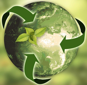 ¿Es posible tener un negocio rentable y preocupado por el medio ambiente?